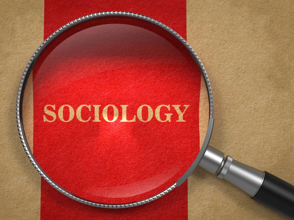 phd in sociology